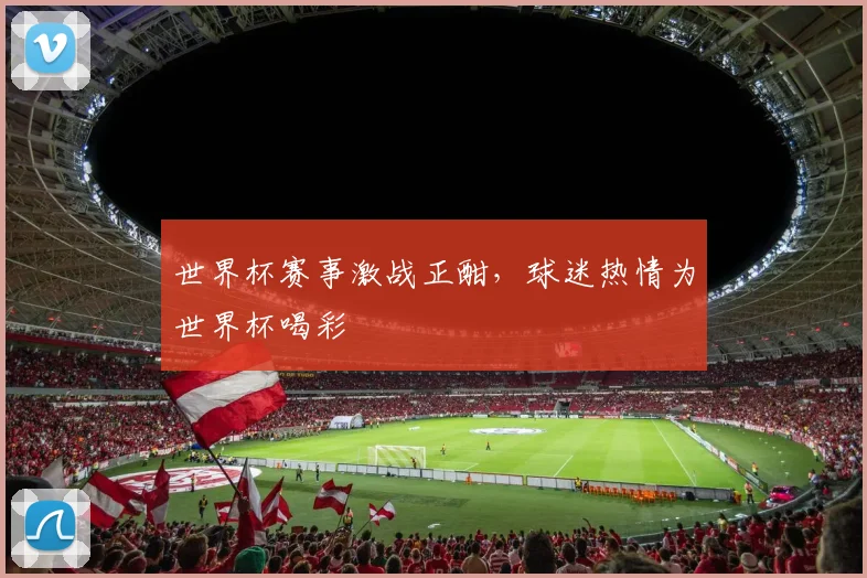 世界杯赛事激战正酣，球迷热情为世界杯喝彩