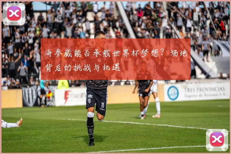 海参崴能否承载世界杯梦想？场地背后的挑战与机遇