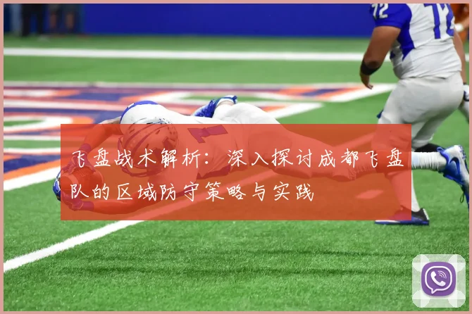 飞盘战术解析：深入探讨成都飞盘队的区域防守策略与实践
