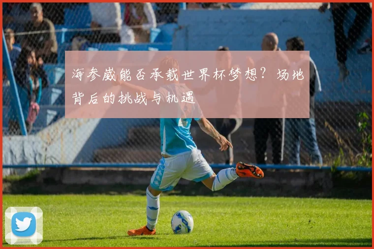 海参崴能否承载世界杯梦想？场地背后的挑战与机遇