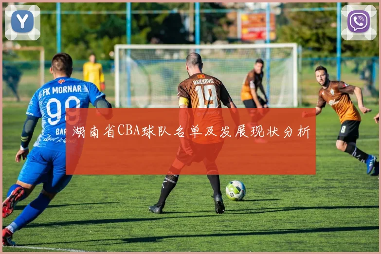 湖南省CBA球队名单及发展现状分析