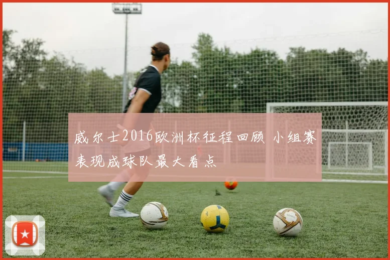 威尔士2016欧洲杯征程回顾 小组赛表现成球队最大看点