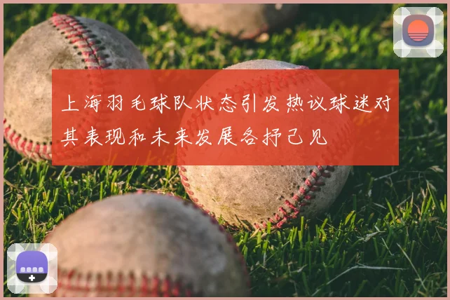 上海羽毛球队状态引发热议球迷对其表现和未来发展各抒己见