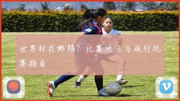 世界杯在哪踢？比赛地点与旅行观赛指南