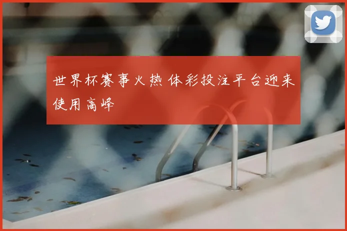 世界杯赛事火热 体彩投注平台迎来使用高峰