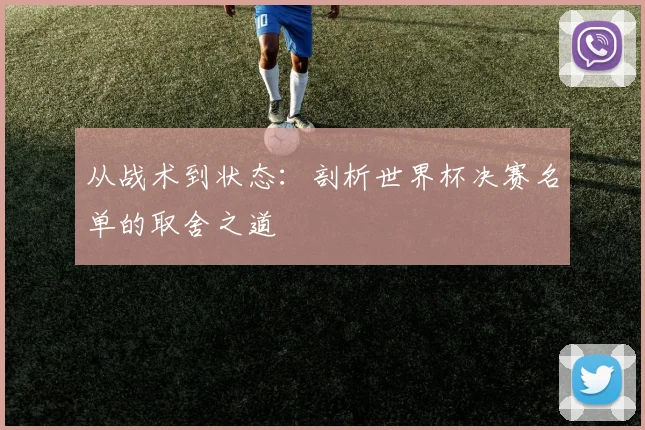 从战术到状态：剖析世界杯决赛名单的取舍之道