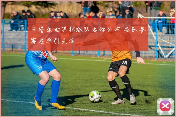 卡塔尔世界杯球队名称公布 各队参赛名单引关注